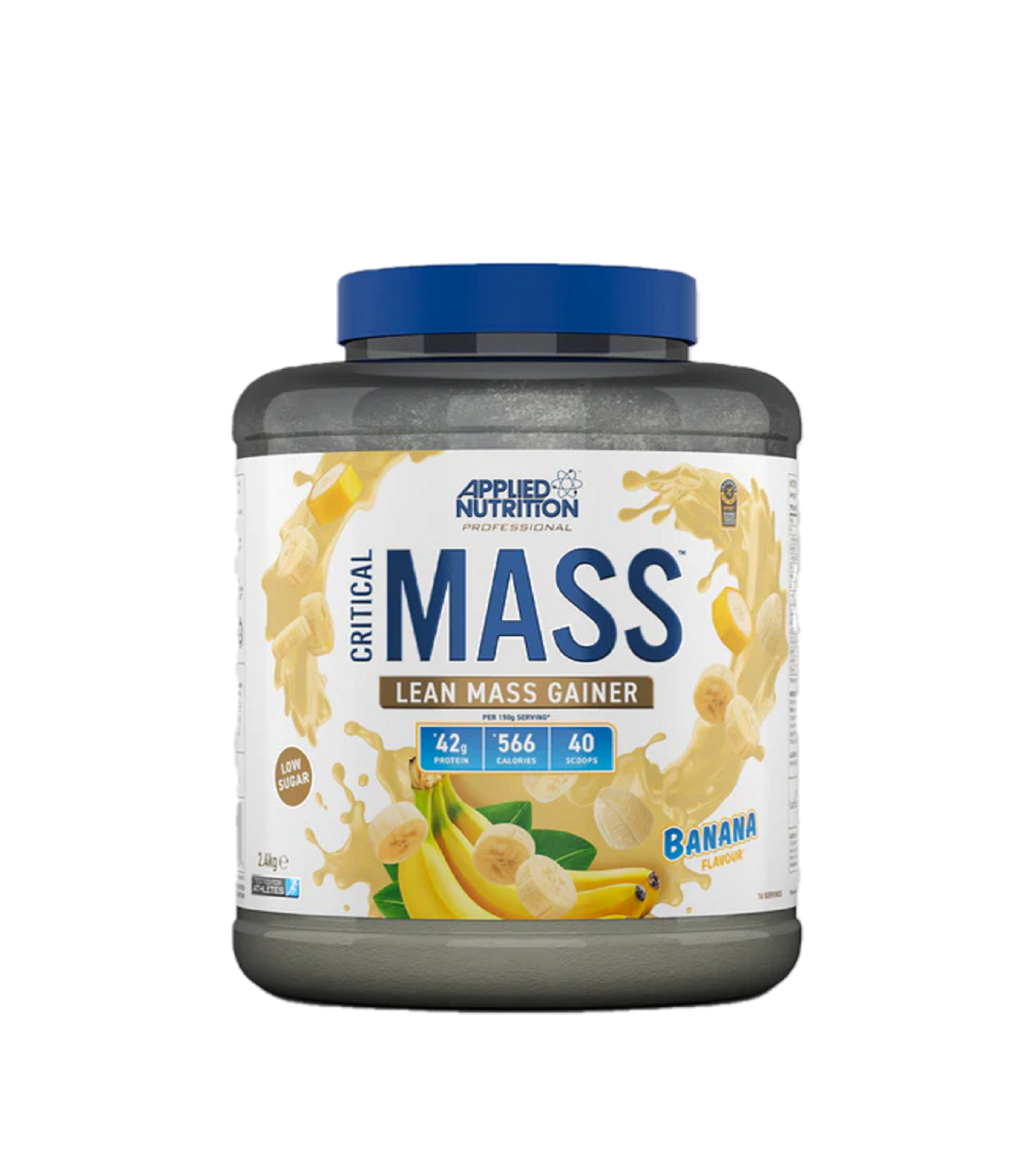 Applied Critical Mass 2.4kg